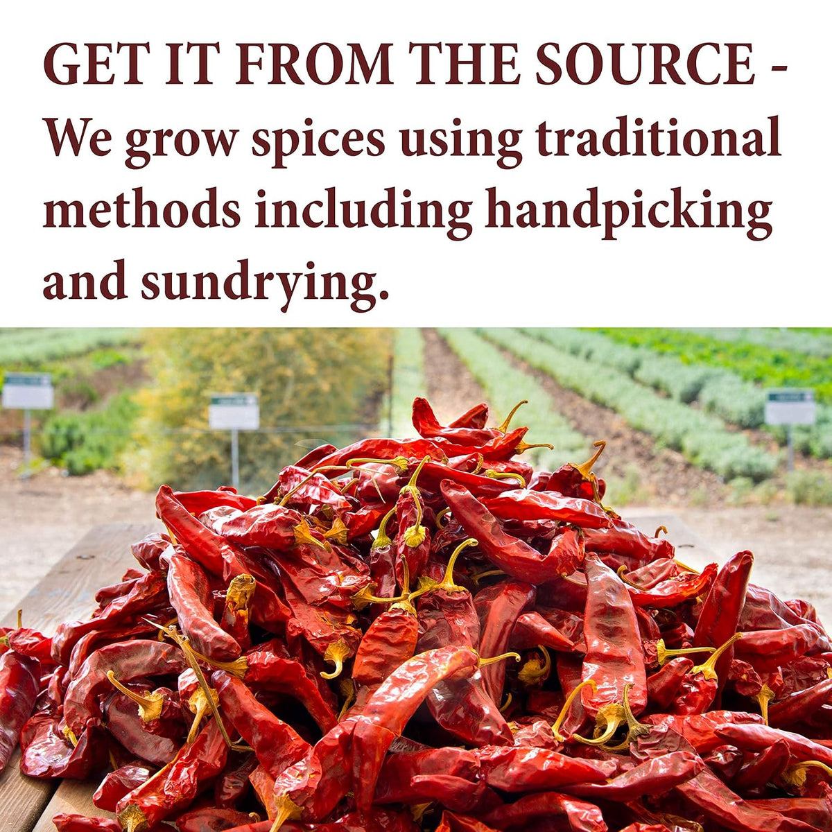 The Spice Way Ground Cumin – 4 oz